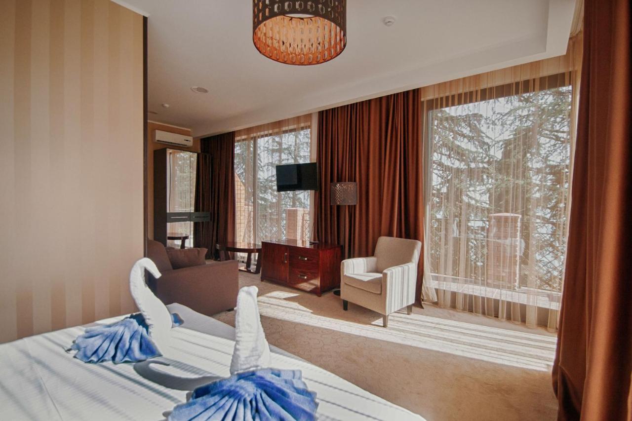 Afon Resort Hotel New Athos Rum bild